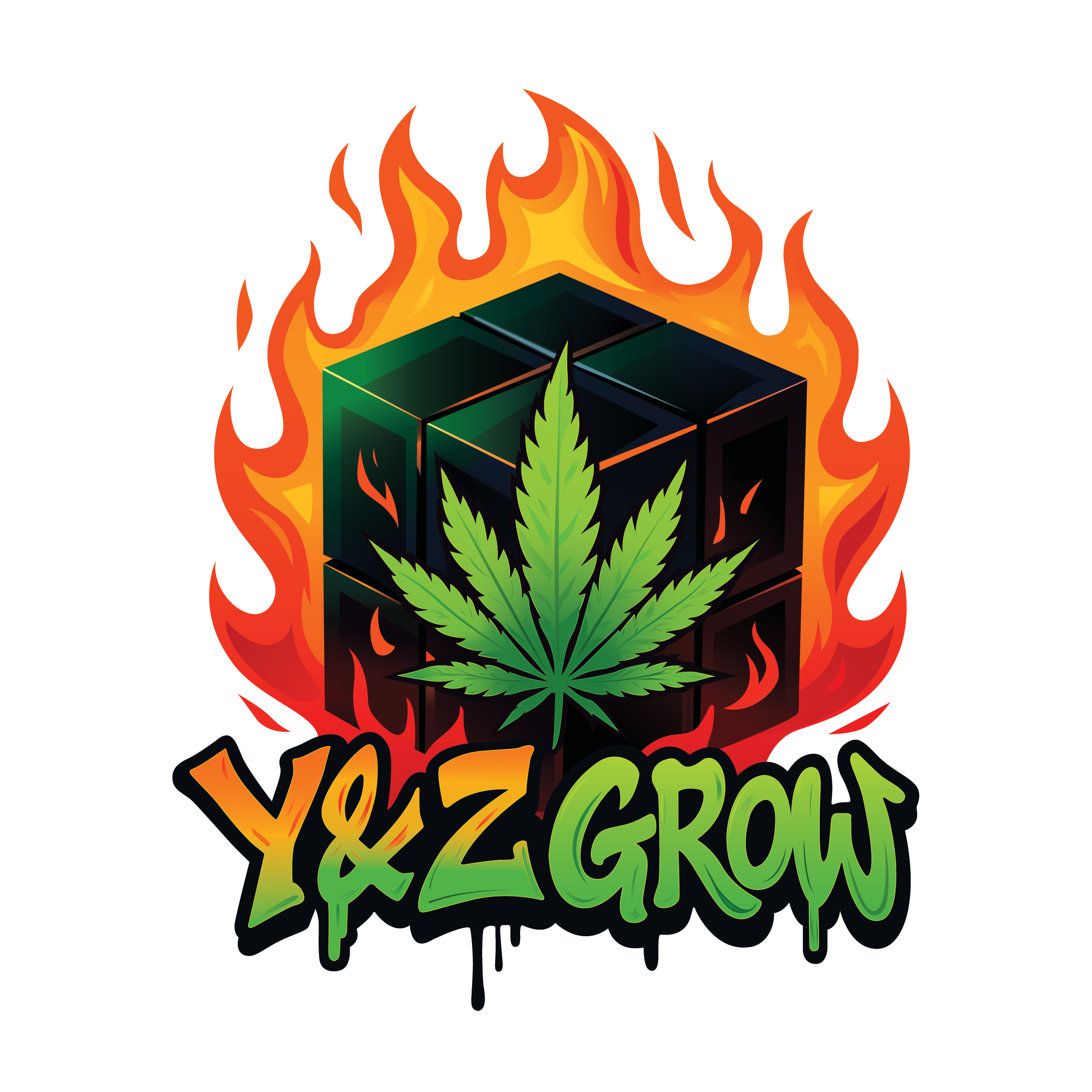 Y&Z